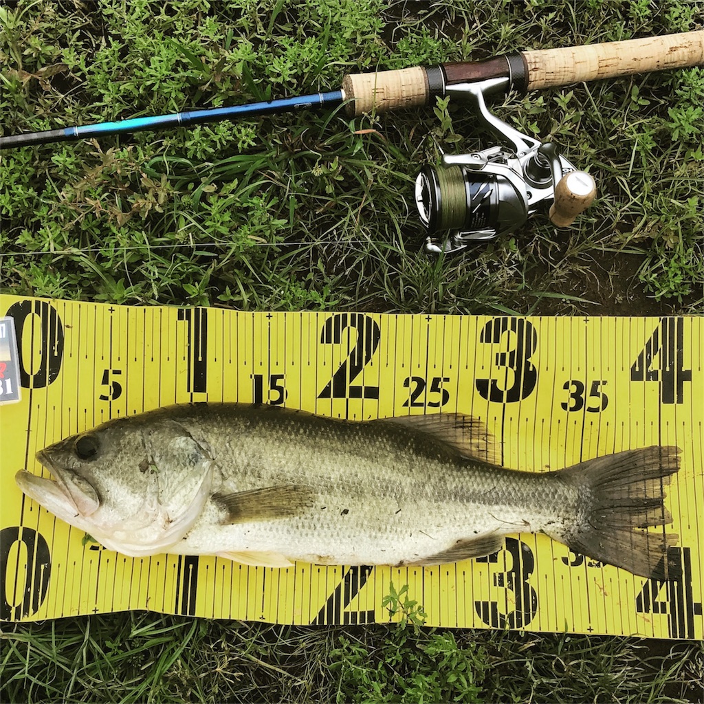 f:id:tasyumin:20170906145113j:image f:id:tasyumin:20170906145113j:image