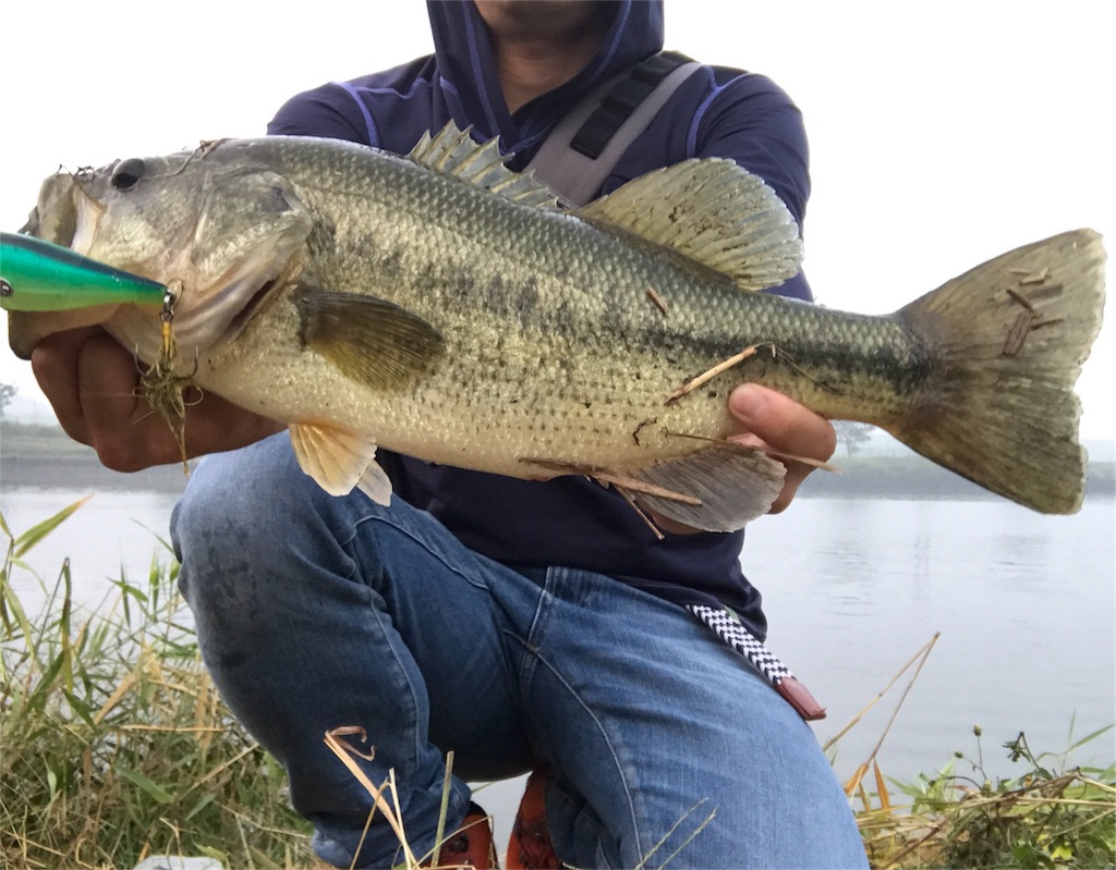 f:id:tasyumin:20171011230751j:image