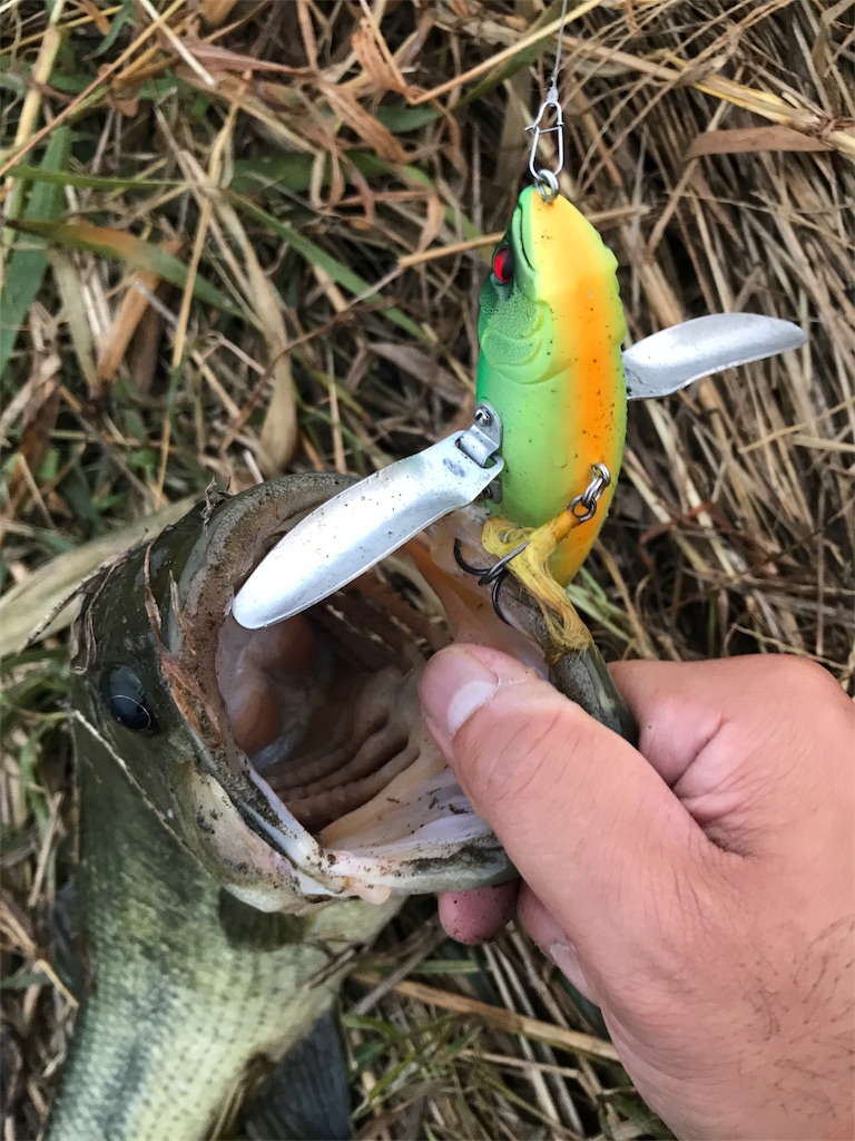 f:id:tasyumin:20171011230910j:image