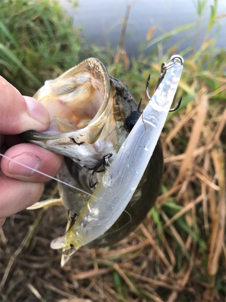 f:id:tasyumin:20171011231020j:image