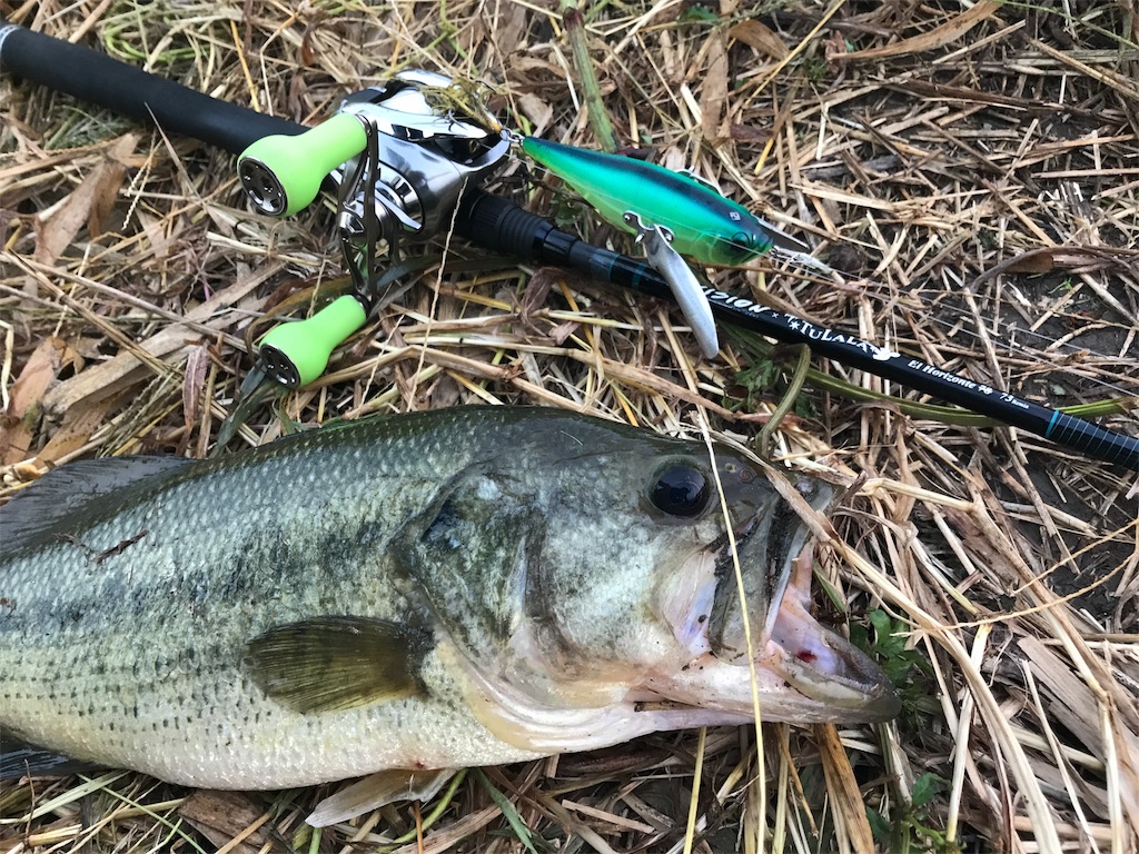 f:id:tasyumin:20171011233341j:image