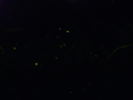 20090606231612