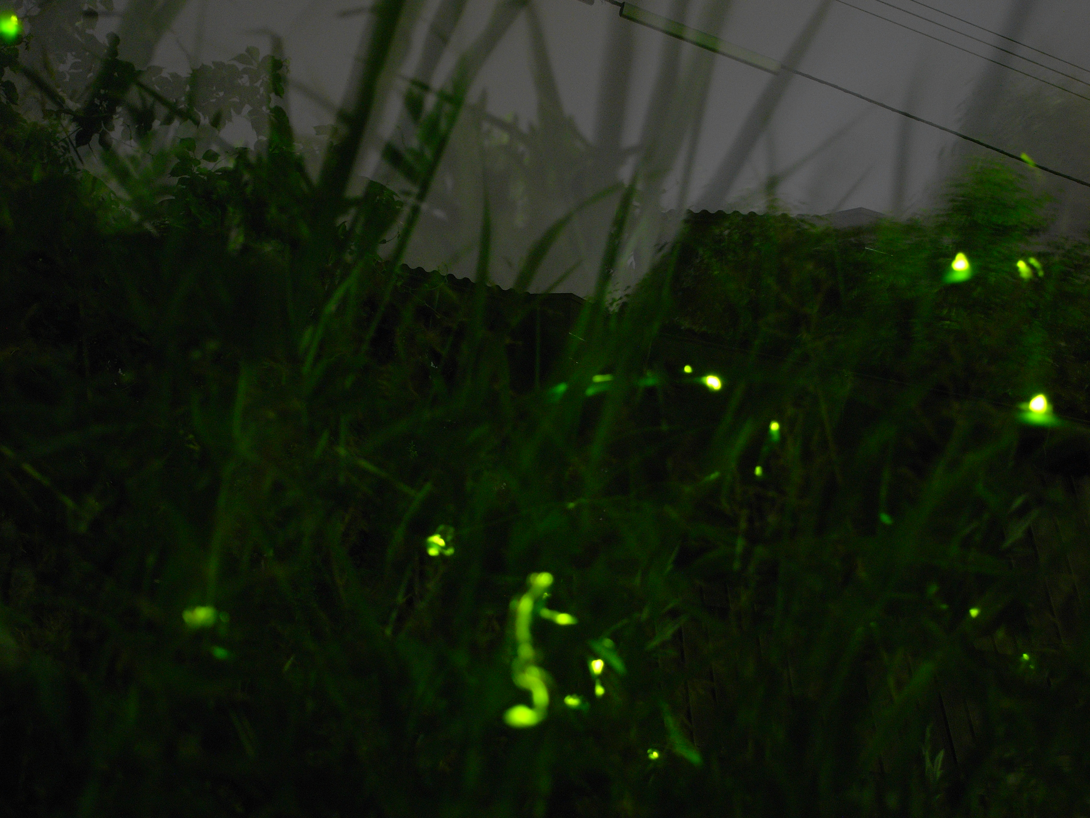 f:id:tat2_show:20090606231927j:image:w640