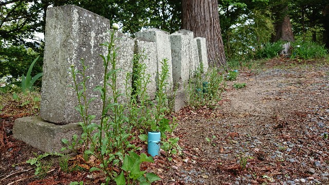 f:id:tataiyoh:20200517112556j:image f:id:tataiyoh:20200517112556j:image