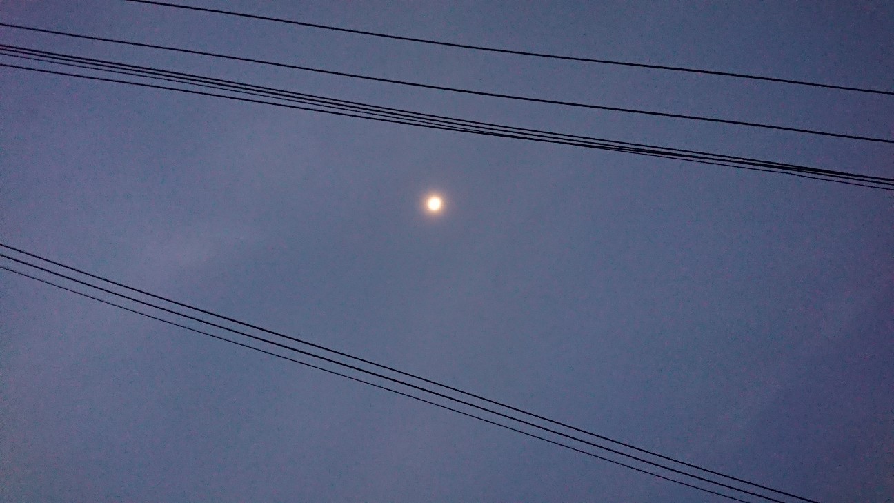 f:id:tataiyoh:20201009070117j:image f:id:tataiyoh:20201009070117j:image