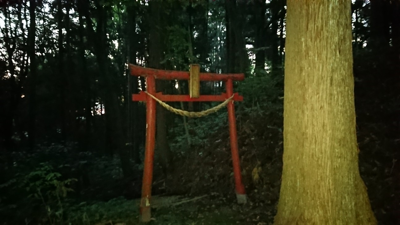 f:id:tataiyoh:20201009070504j:image f:id:tataiyoh:20201009070504j:image