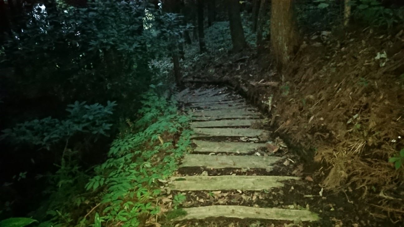 f:id:tataiyoh:20201009070518j:image f:id:tataiyoh:20201009070518j:image