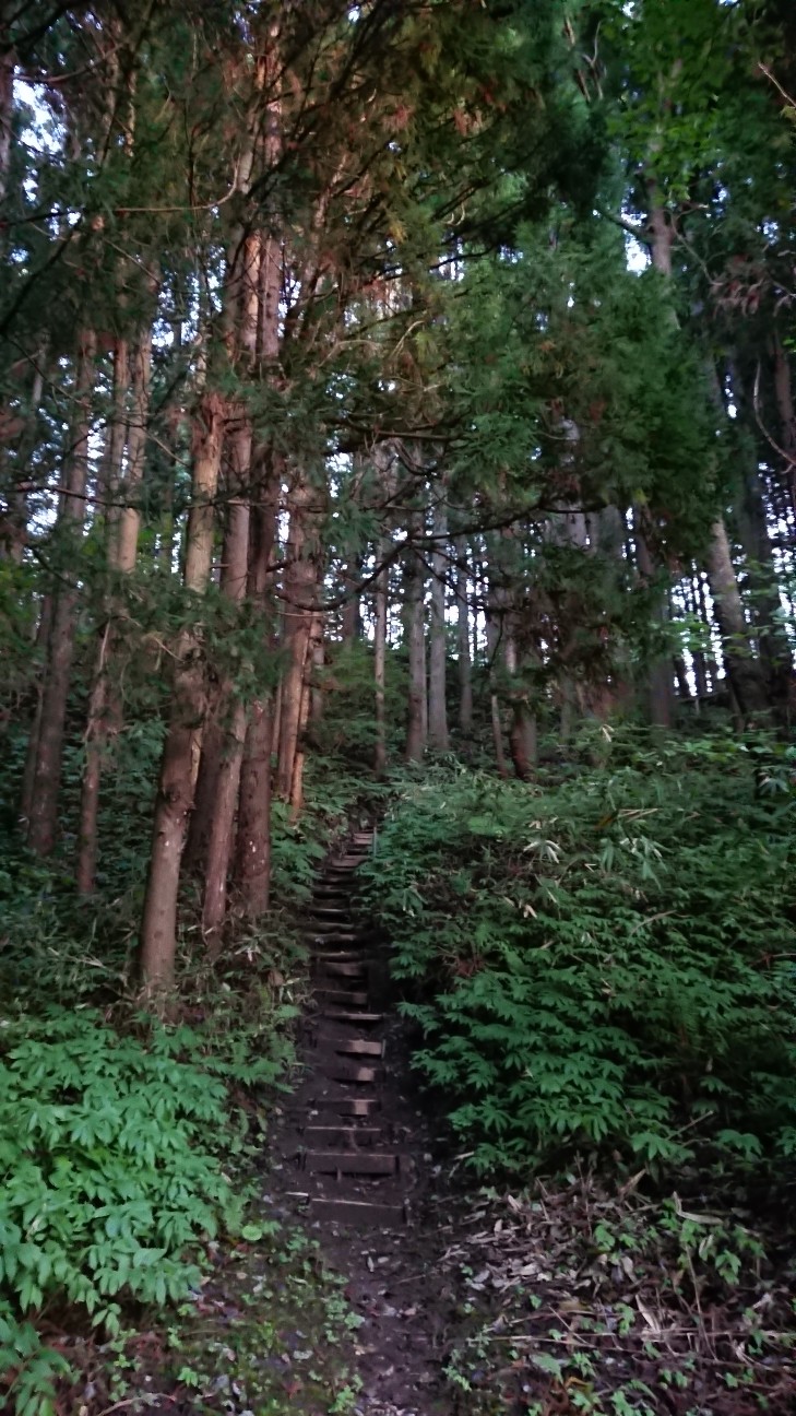 f:id:tataiyoh:20201009072123j:image f:id:tataiyoh:20201009072123j:image