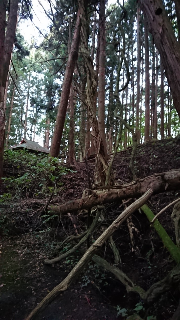 f:id:tataiyoh:20201009072150j:image f:id:tataiyoh:20201009072150j:image