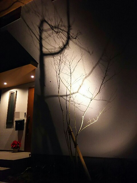 f:id:tatami5656:20161224143958j:plain f:id:tatami5656:20161224143958j:plain