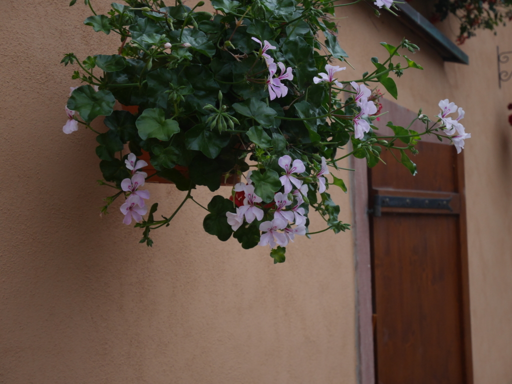 f:id:tatamiengawa:20180304225742j:plain f:id:tatamiengawa:20180304225742j:plain