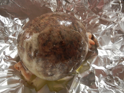 f:id:tatamihouse:20120918194527j:image:w360 f:id:tatamihouse:20120918194527j:image:w360