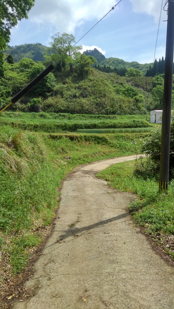 f:id:tatamineru:20180505094028j:plain f:id:tatamineru:20180505094028j:plain