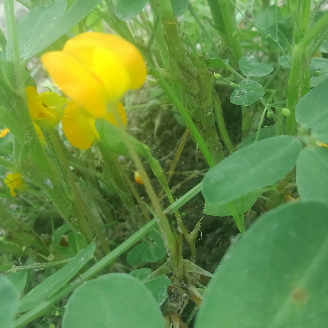 f:id:tatarapan:20190829204122j:plain