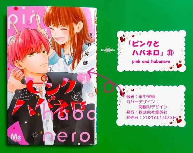 ピンクとハバネロ 11 Amazon.co.jp: ピンクとハバネロ 11 (マーガレットコミックス