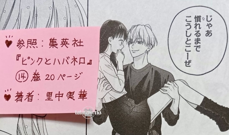 ピンクとハバネロ』11巻から14巻（完結）あらすじ・感想！進路を決めた