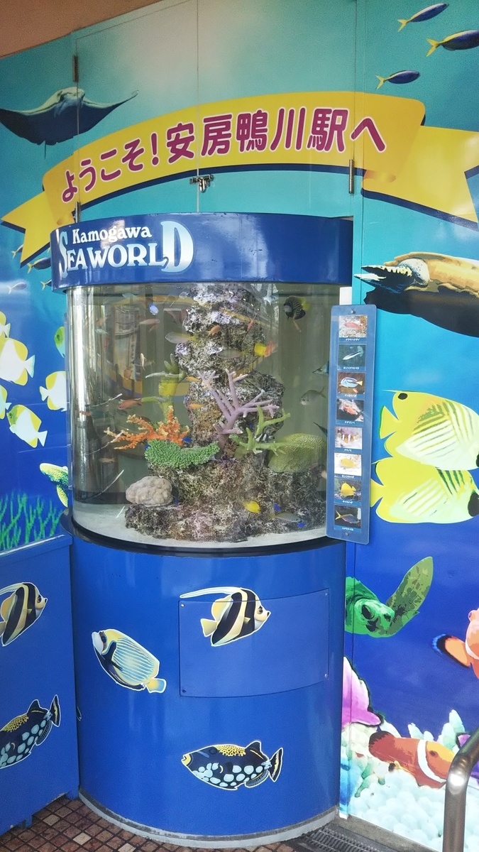 f:id:tatatamacenter:20190722062347j:plain
