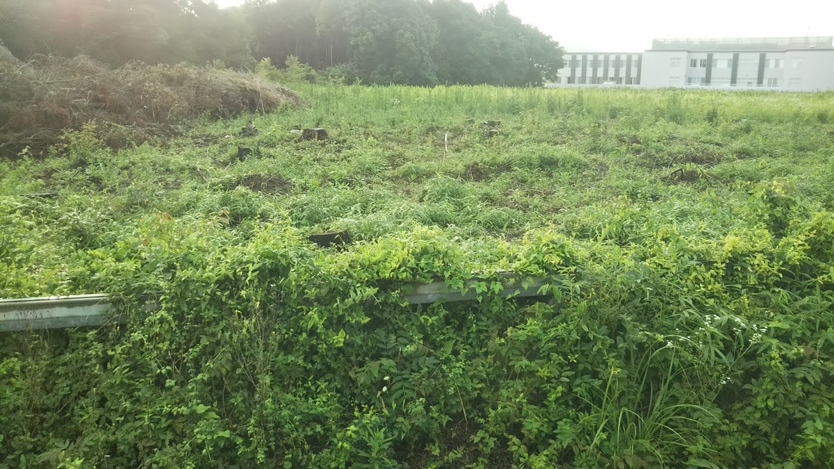 f:id:tatatamacenter:20190722070703j:plain
