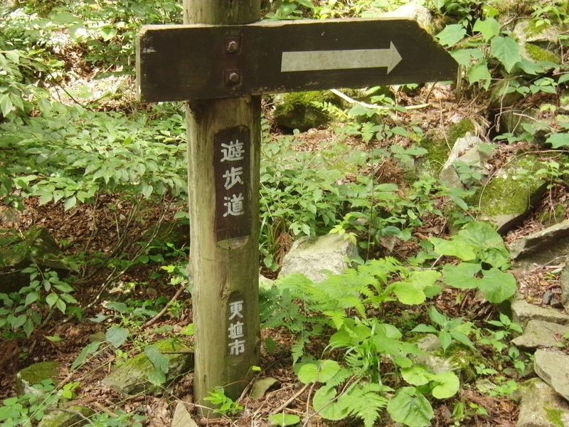 イメージ 4