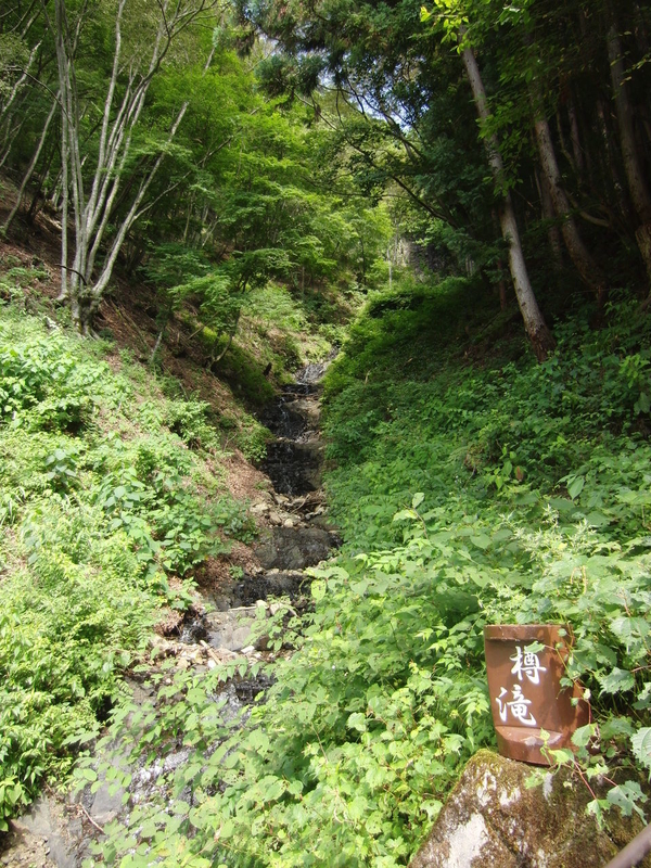 イメージ 4