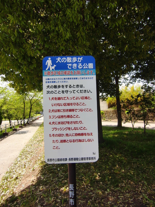 イメージ 10