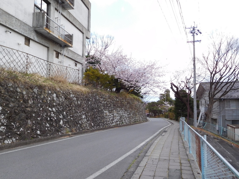 イメージ 6