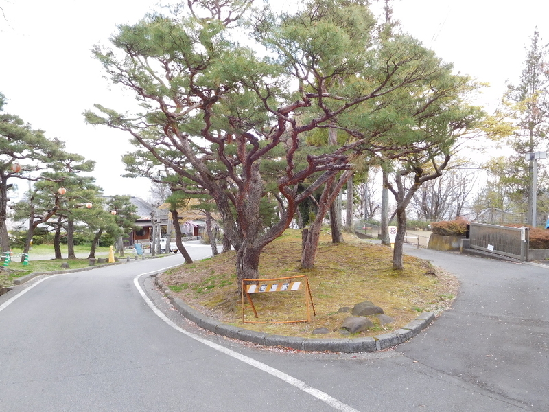 イメージ 8
