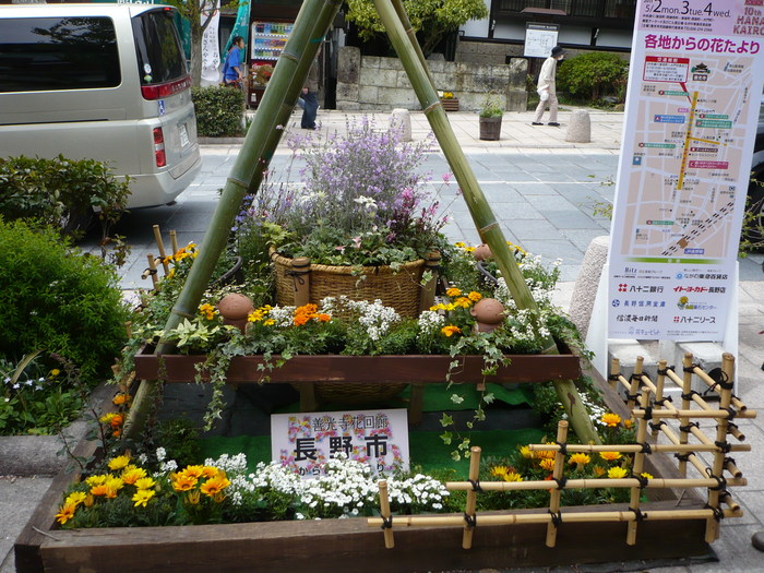 イメージ 11