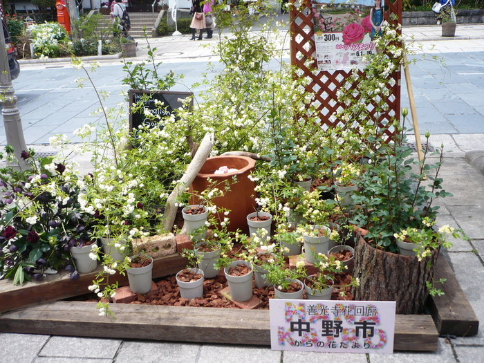 イメージ 12