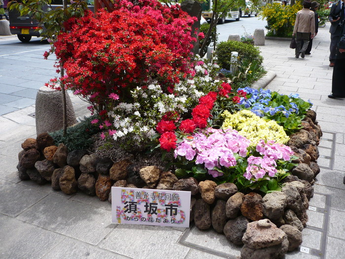 イメージ 4