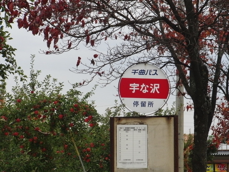 イメージ 11