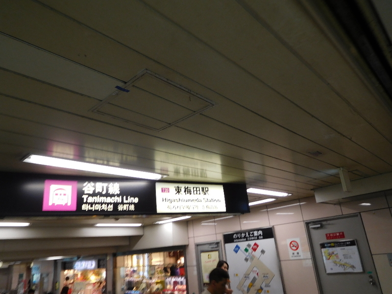 イメージ 7