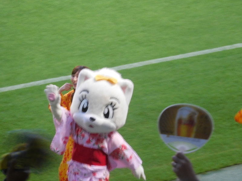 イメージ 17
