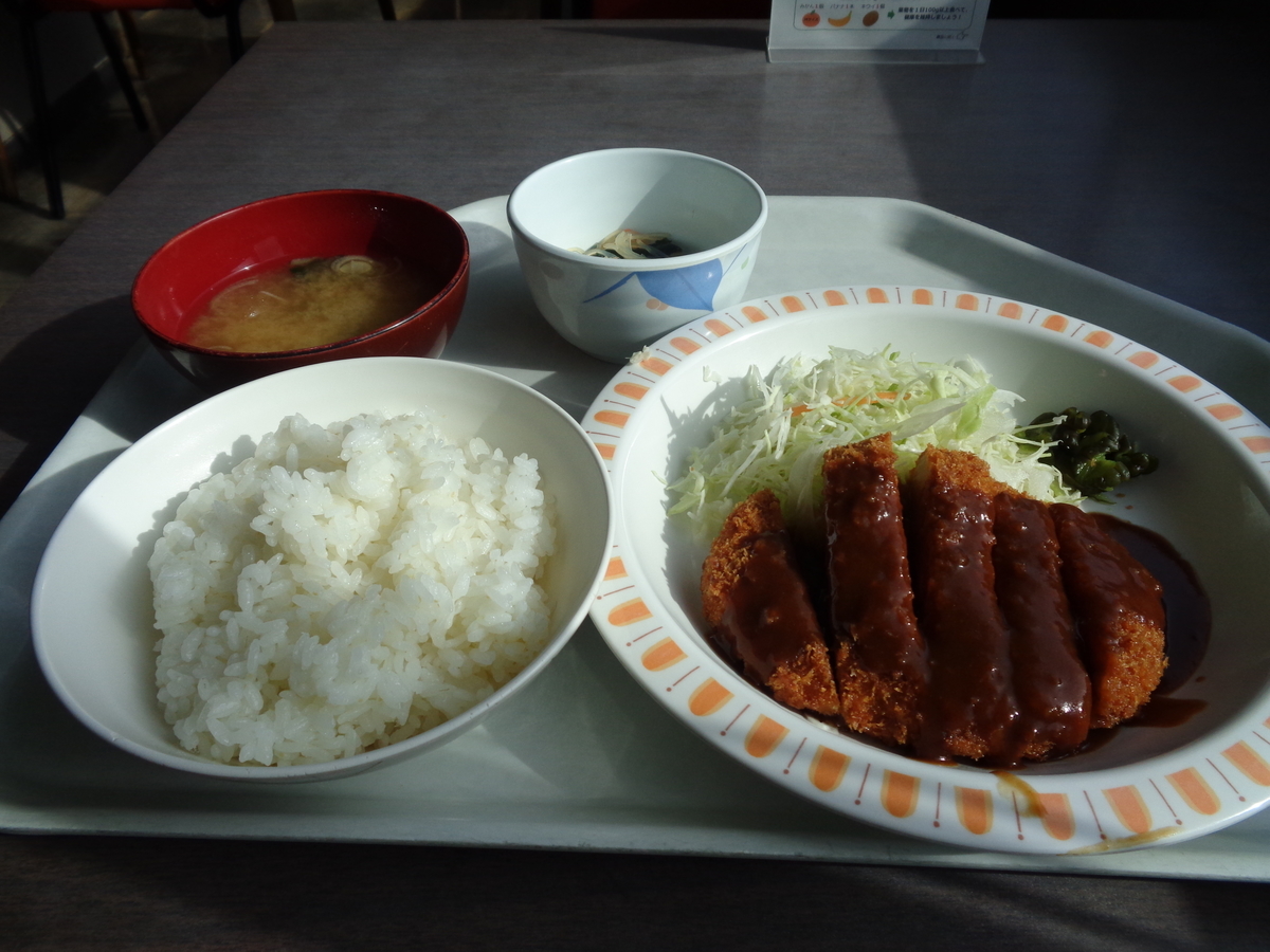 f:id:tatebayashihappy:20210118230105j:plain