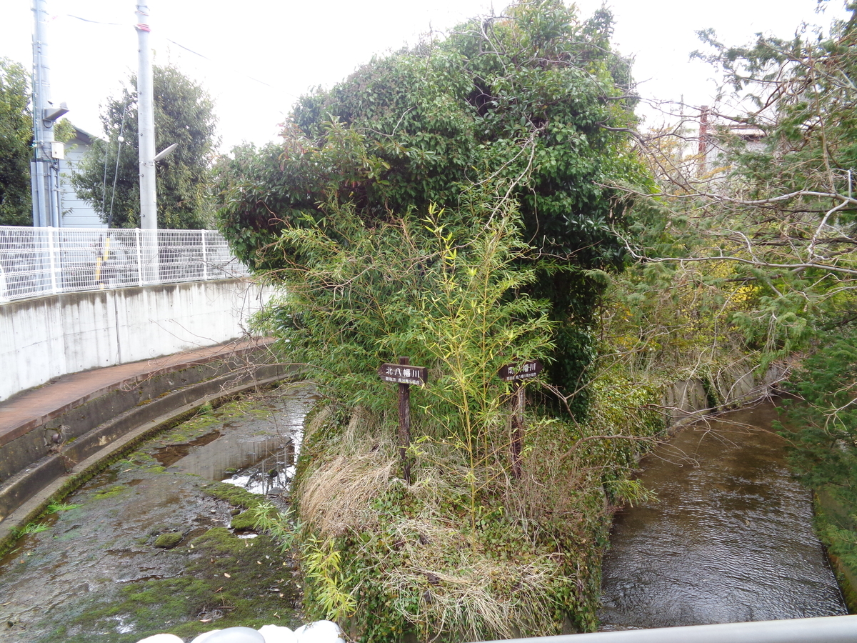 f:id:tatebayashihappy:20210315233911j:plain