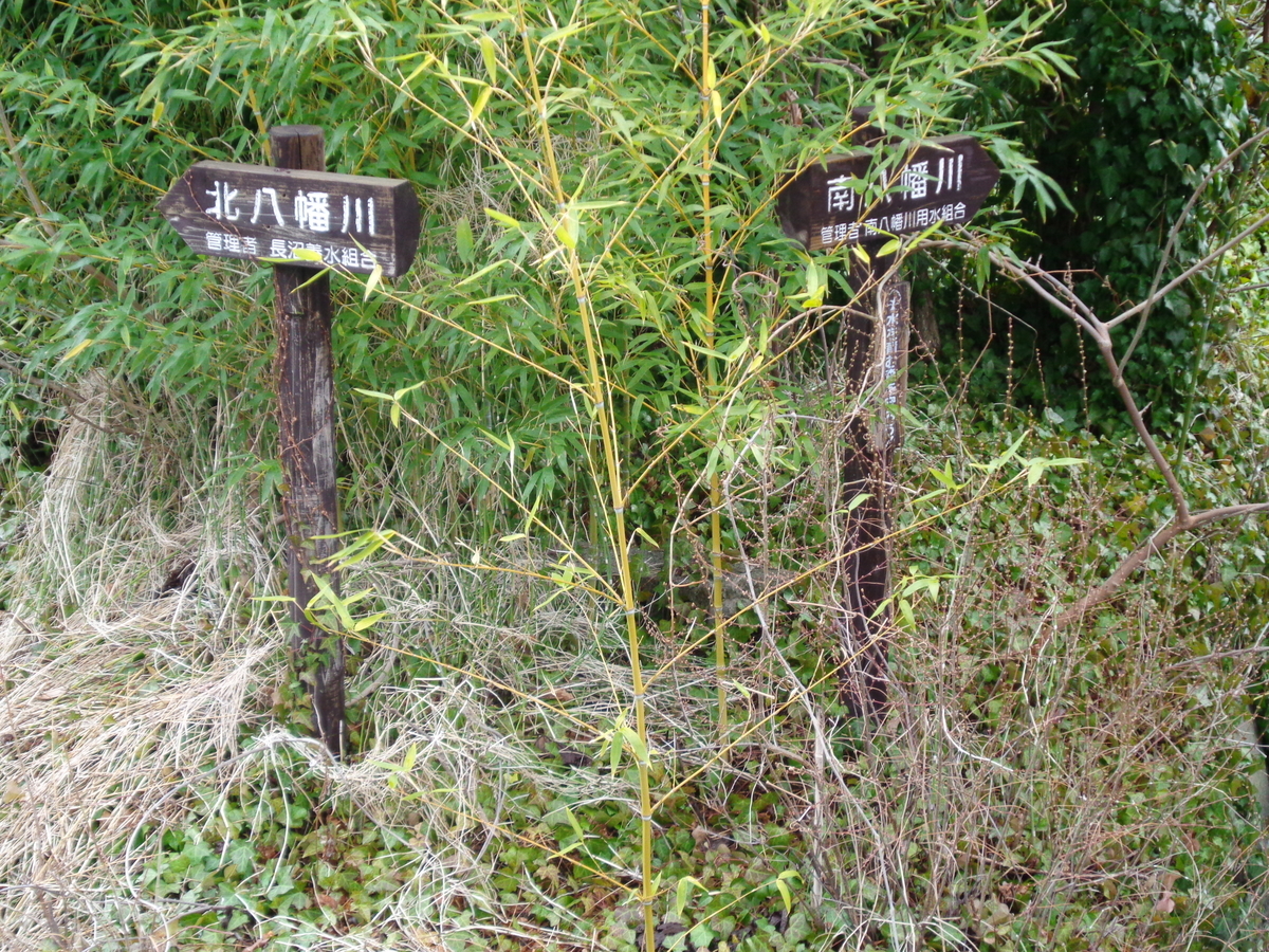 f:id:tatebayashihappy:20210315234005j:plain