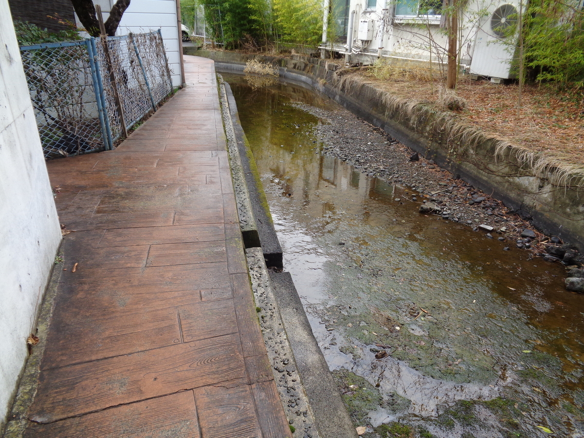 f:id:tatebayashihappy:20210315234418j:plain