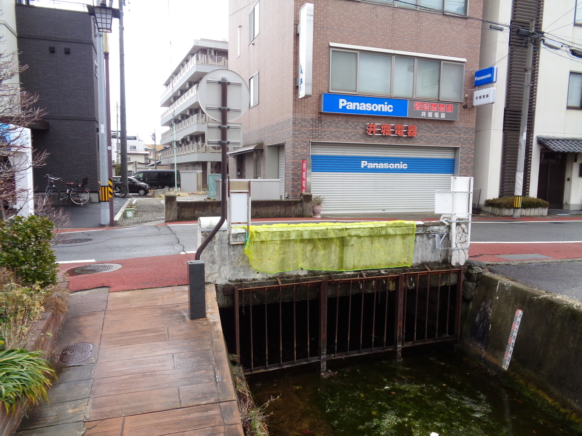 f:id:tatebayashihappy:20210315234524j:plain