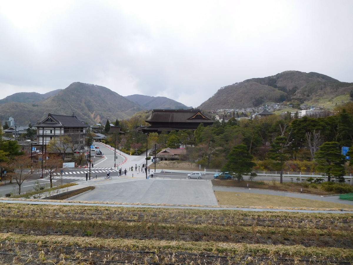 f:id:tatebayashihappy:20210418221427j:plain