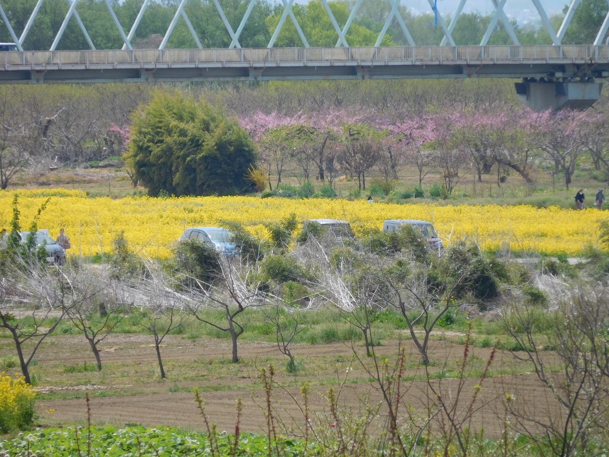 f:id:tatebayashihappy:20210424220500j:plain