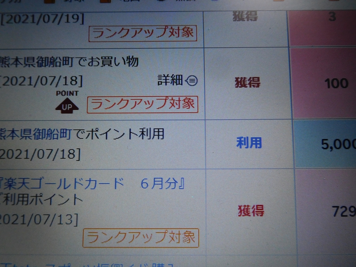 f:id:tatebayashihappy:20210820210805j:plain