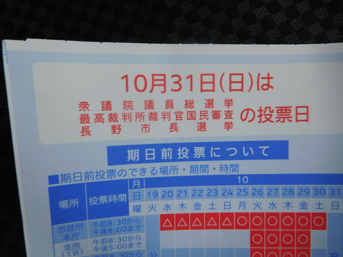 f:id:tatebayashihappy:20211030221639j:plain