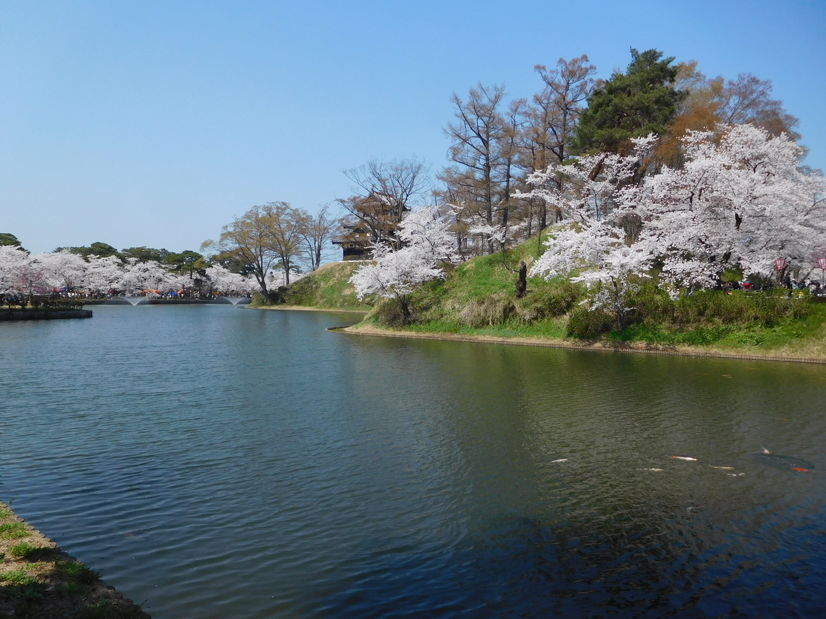 高田城址公園に行ってきた - SPRING DREAM