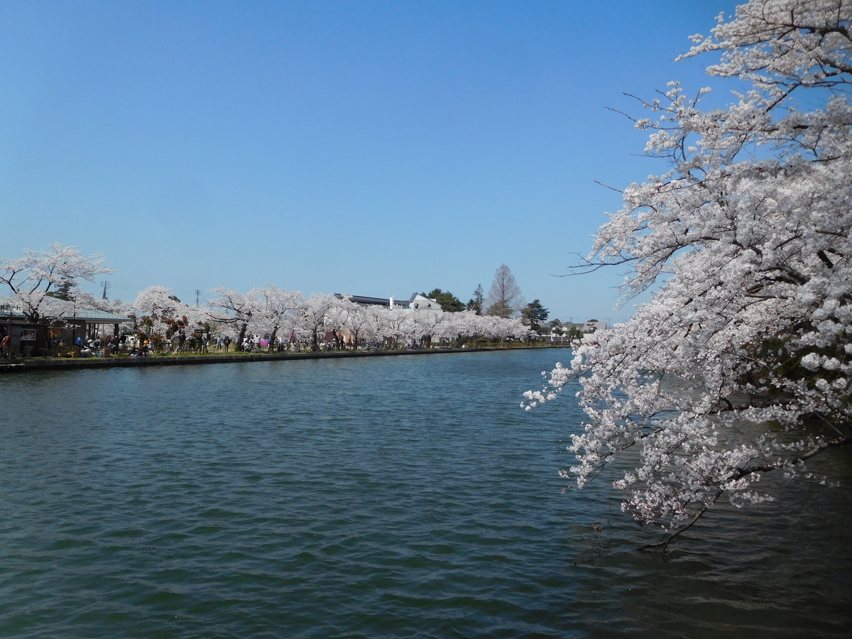 高田城址公園に行ってきた - SPRING DREAM