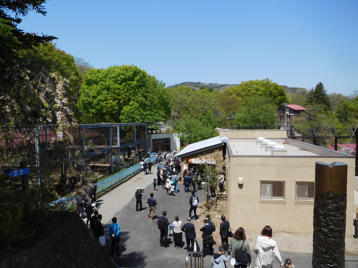 茶臼山動物園 ライオンの丘 - SPRING DREAM