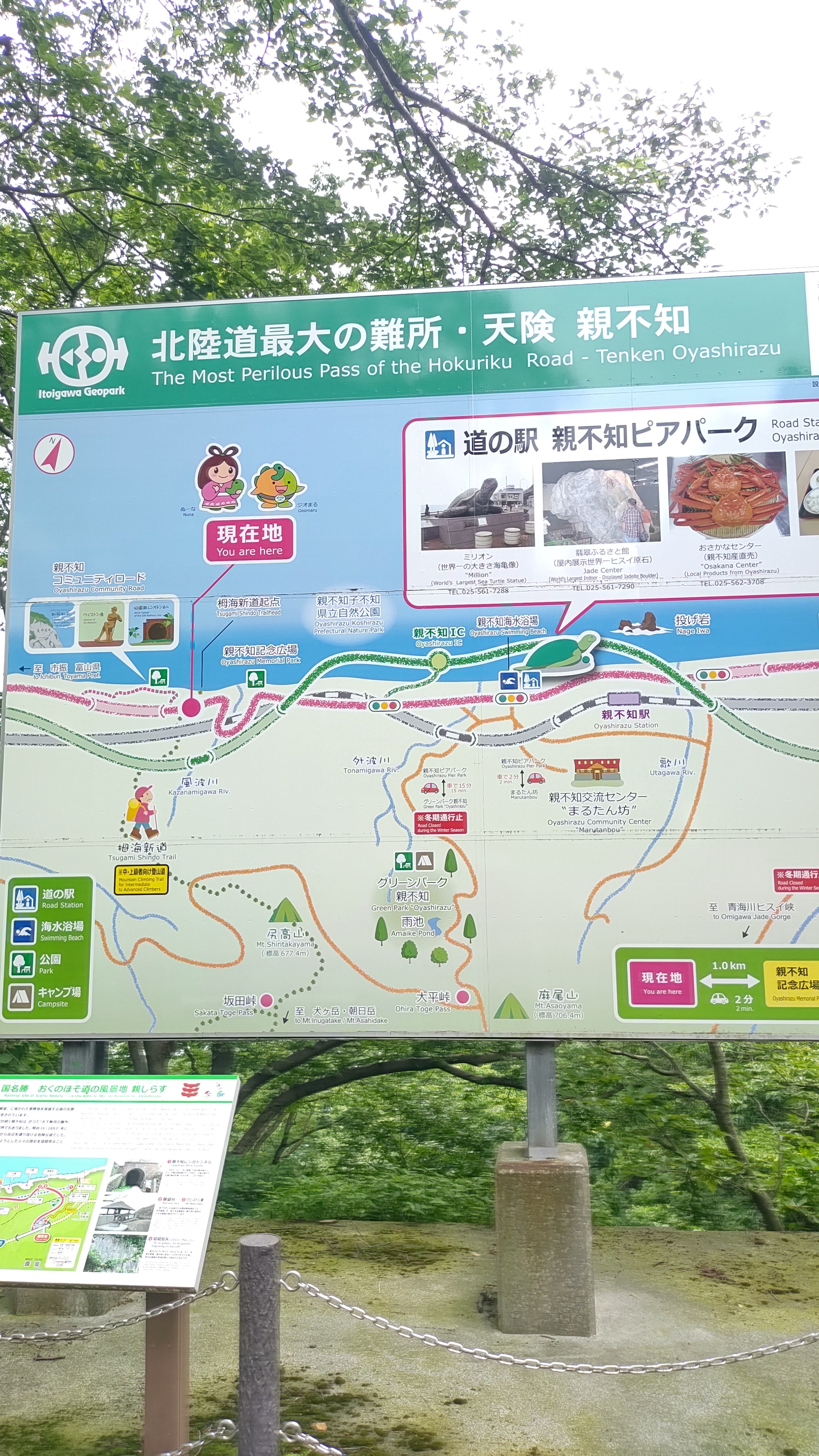 f:id:tatebayashihappy:20240706085159j:image f:id:tatebayashihappy:20240706085159j:image