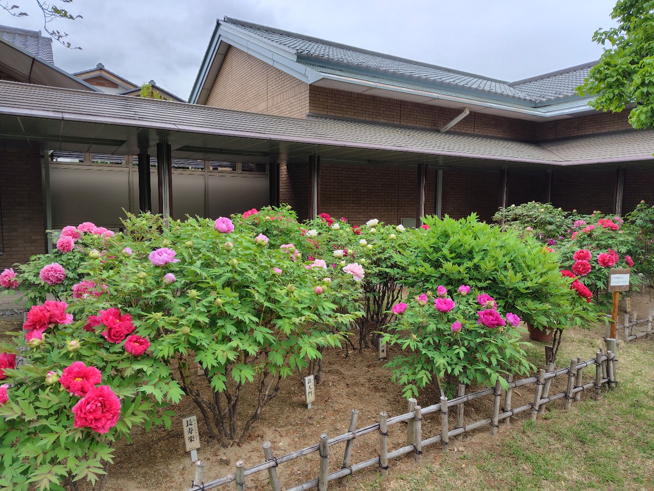 長野県150周年記念デジタルスタンプラリー 9/201 おぶせミュージアム