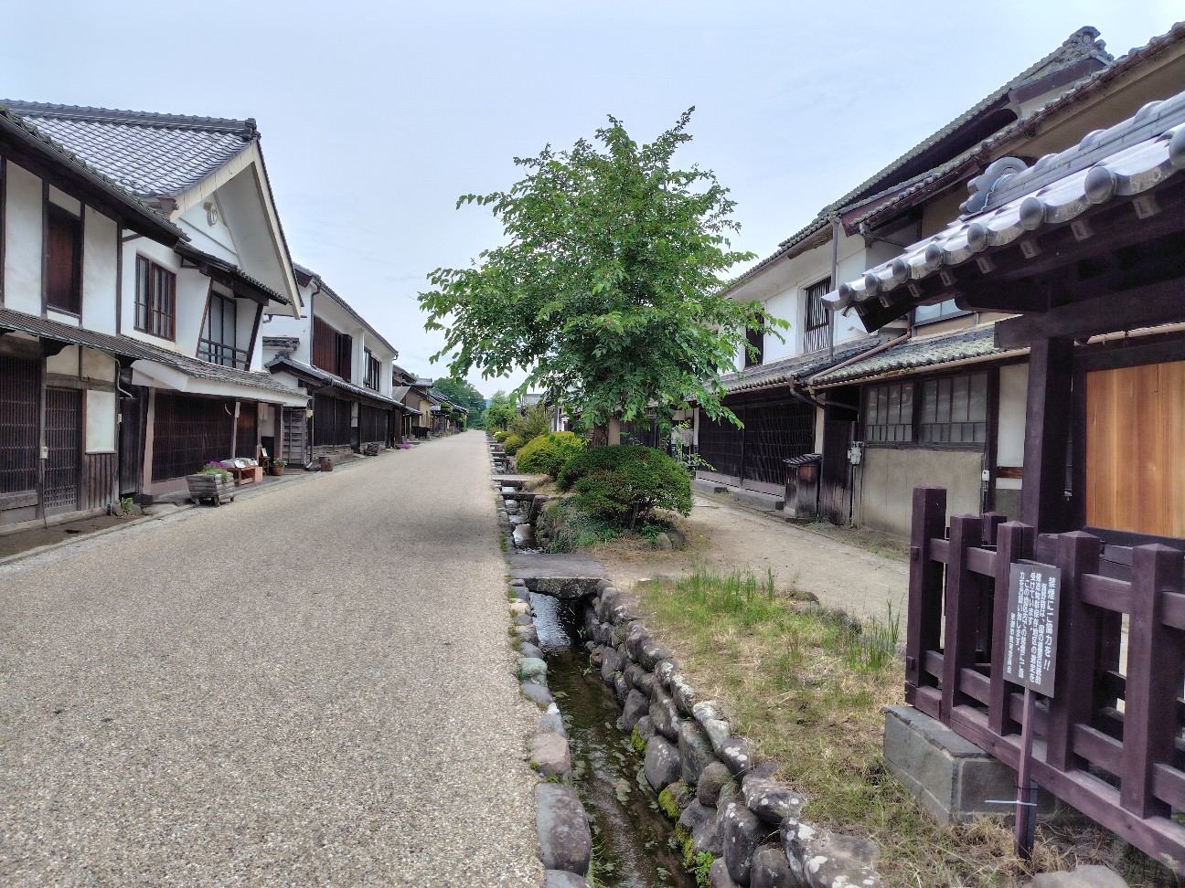 f:id:tatebayashihappy:20260614205151j:image