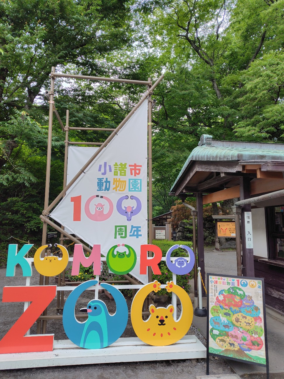f:id:tatebayashihappy:20260614205634j:image