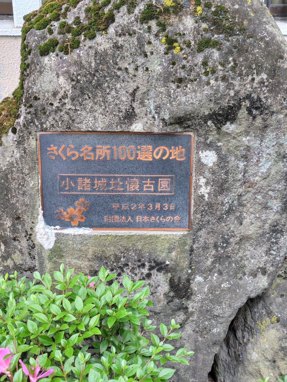 f:id:tatebayashihappy:20260614205640j:image